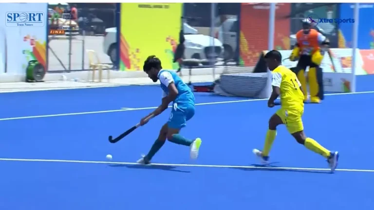 In hockey match two player chasing the ball.